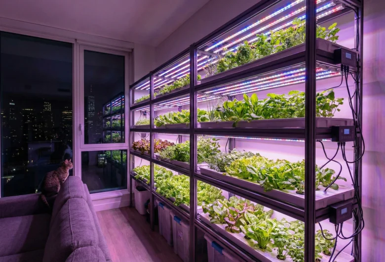 Close-up de uma folha de Monstera Albo variegada sob a luz de um painel LED de alta eficiência, mostrando o brilho saudável da planta e a tecnologia de iluminação ao fundo.